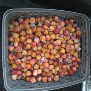 mirabelles en vrac
